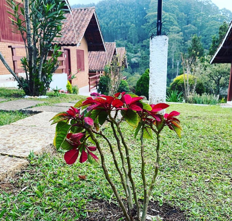 Chales Encantus Villa Monte Verde  Exterior foto